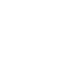 logo PORSCHE